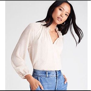 Ann Taylor Clip Shirred Raglan Sleeve Top in Light Tan, Size XS, NWT